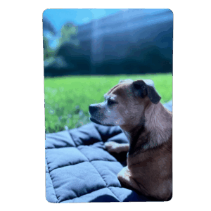 Photoroom_20250819_124018 Personalisierte Fotoplatte mit Ihrem Foto - 15x10cm